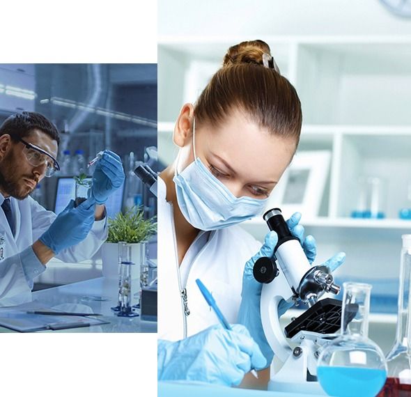 Peptide Purity Selection Guide: Which Grade Fits Your Assay?